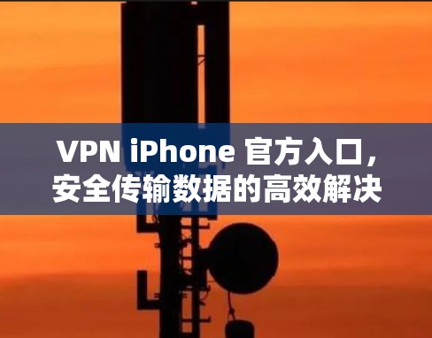 VPN iPhone 官方入口，安全传输数据的高效解决方案