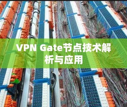 VPN Gate节点技术解析与应用