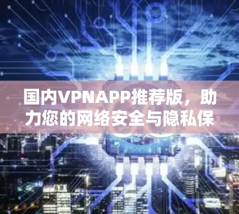 国内VPNAPP推荐版,助力您的网络安全与隐私保护 国内VPNAPP推荐版,助力您的网络安全与隐私保护