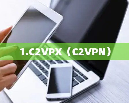 1.C2VPX(C2VPN) 1.C2VPX(C2VPN)
