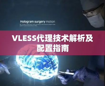 VLESS代理技术解析及配置指南 VLESS代理技术解析及配置指南