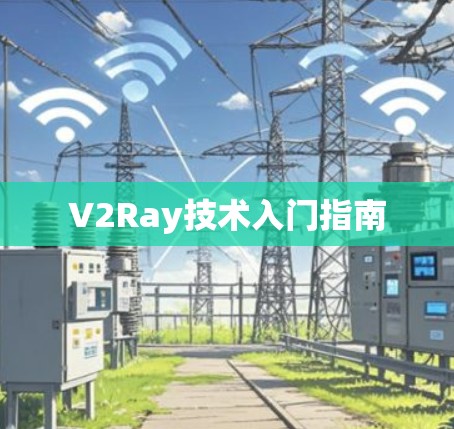 V2Ray技术入门指南 V2Ray技术入门指南