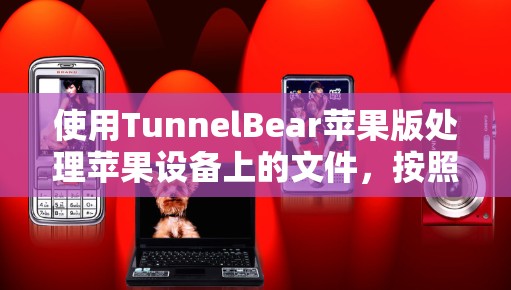 使用TunnelBear苹果版处理苹果设备上的文件，按照以下步骤进行