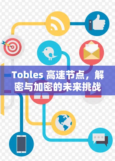 Tobles 高速节点，解密与加密的未来挑战
