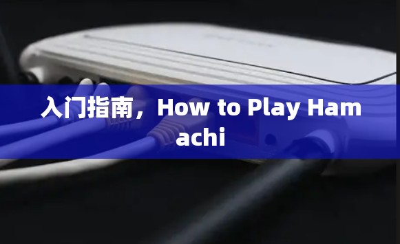 入门指南，How to Play Hamachi